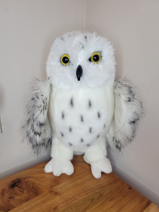 Douglas Other - Douglas Toys Wizard‎ Snowy Owl Plush Stuffed Animal